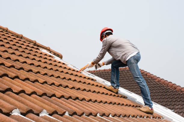 Best Gutter Installation and Repair  in Milledgeville, GA