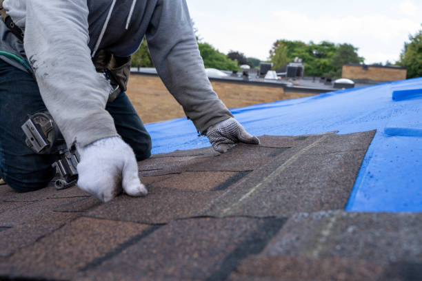 Best Rubber Roofing (EPDM, TPO)  in Milledgeville, GA